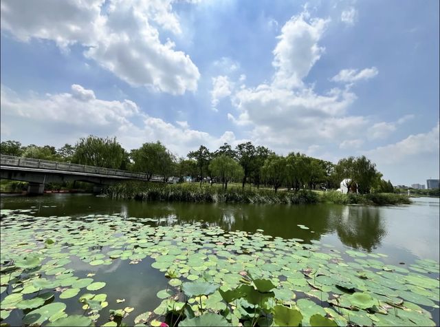 小眾景點遠香湖，建築藝術文藝滿滿