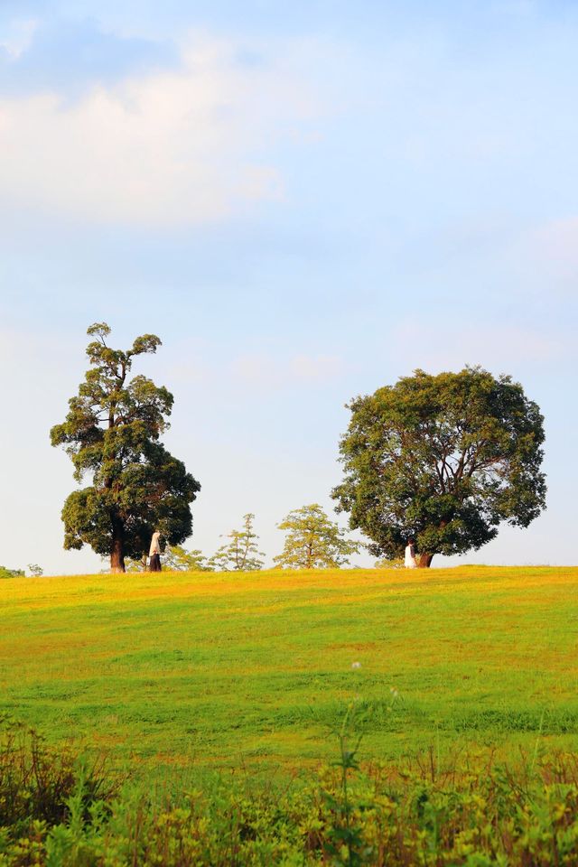 允許現在你還不知道這個公園