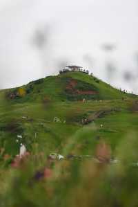 狼渡濕地草原位於岷縣青藏高原東段和秦嶺山脈西緣過渡帶，呈平原丘陵地貌。這裡平均海拔2,600米，地勢平坦。
