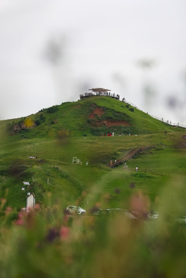 狼渡濕地草原位於岷縣青藏高原東段和秦嶺山脈西緣過渡帶，呈平原丘陵地貌。這裡平均海拔2,600米，地勢平坦。