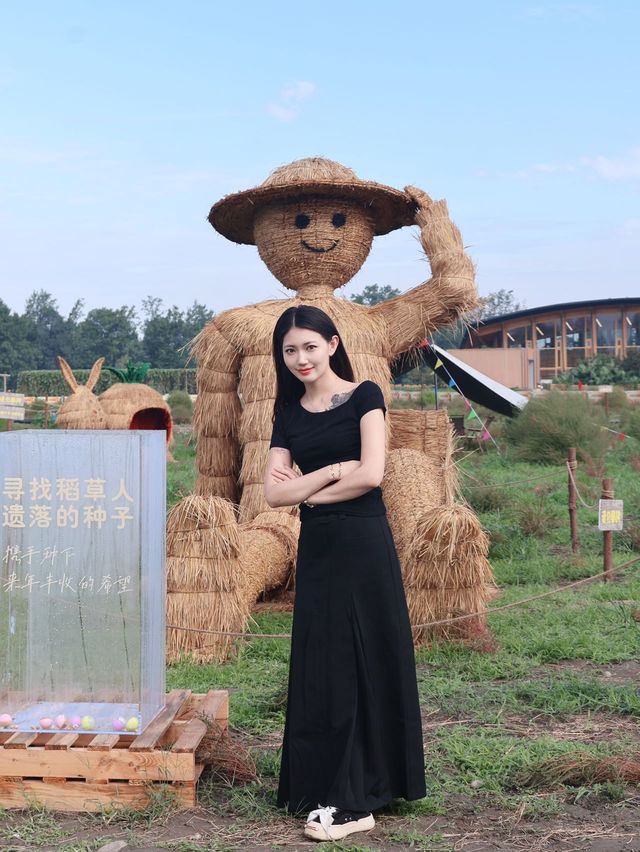 秋天就來打卡這個巨型稻草。
