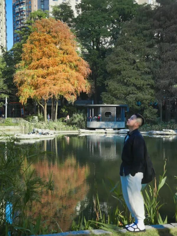 深圳公園探險指南🌳✨