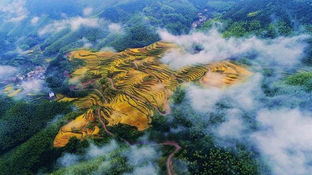 遂昌，是仙境一般吧！。