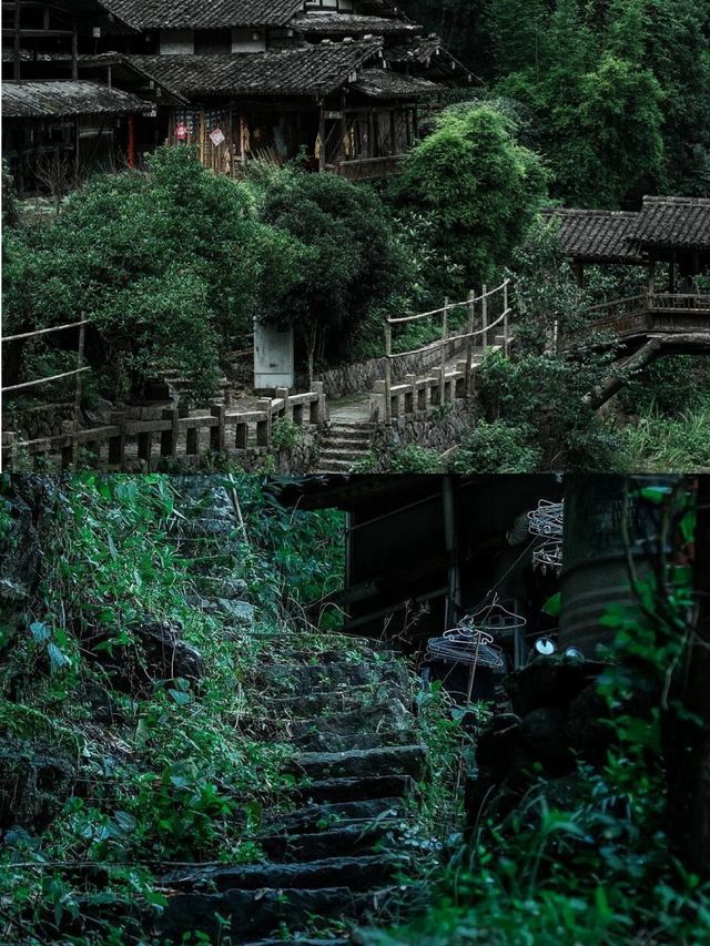 溫州你不宣傳這裡你糊塗呀！！！。
