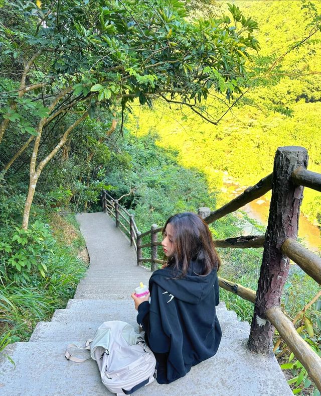 深圳超適合 i 人的吸氧徒步綠蔭棧道。