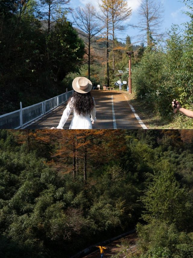 接下來的浙江堪稱秋日旅遊天花板！