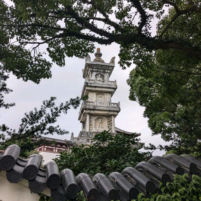 再見普陀山已是五年後