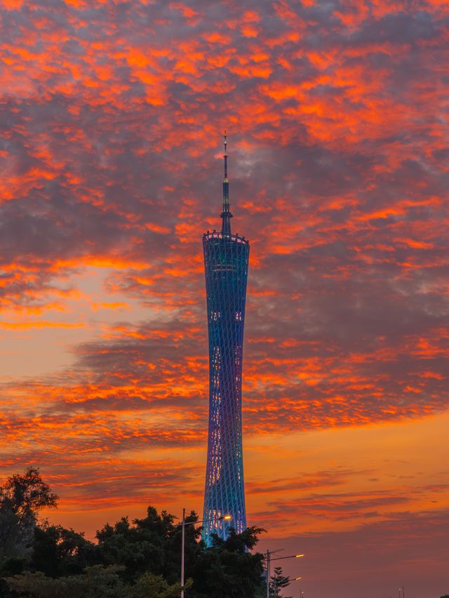 11.11 廣州今日世紀晚霞你們都拍了嗎？。