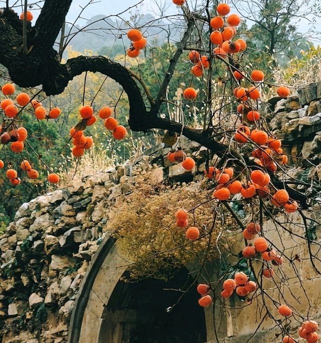 能勸一個是一個：靈岩寺旅遊，這些雷區千萬別踩。