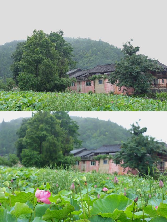 卡拉村分為三個模塊～。