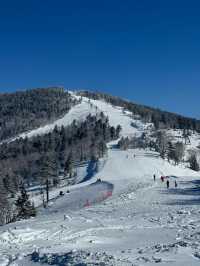 吉林北大湖|這粉雪，誰頂得住！。