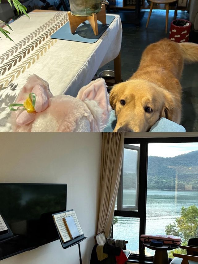 杭州千島湖！對自己訂的酒店滿意得睡不著。