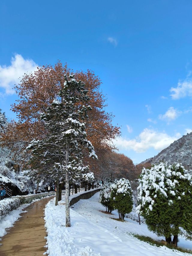 西安翠華山|絕美雪景。 西安翠華山|絕美雪景。