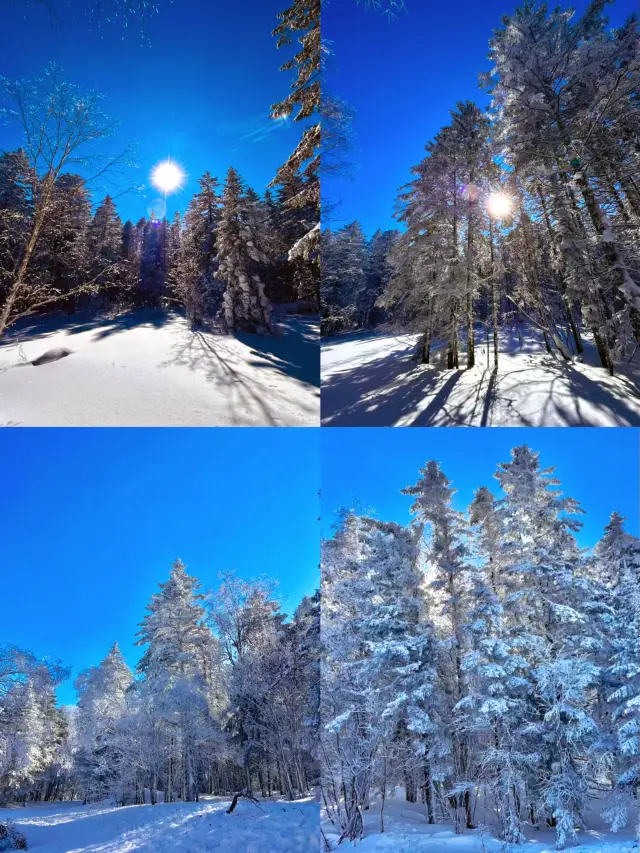 It's not that Finland is unaffordable, but that Laolike Lake is more cost-effective. 