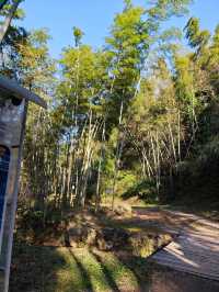 《神龍潭瀑布：探秘自然奇境，暢享山水逸趣之旅》。