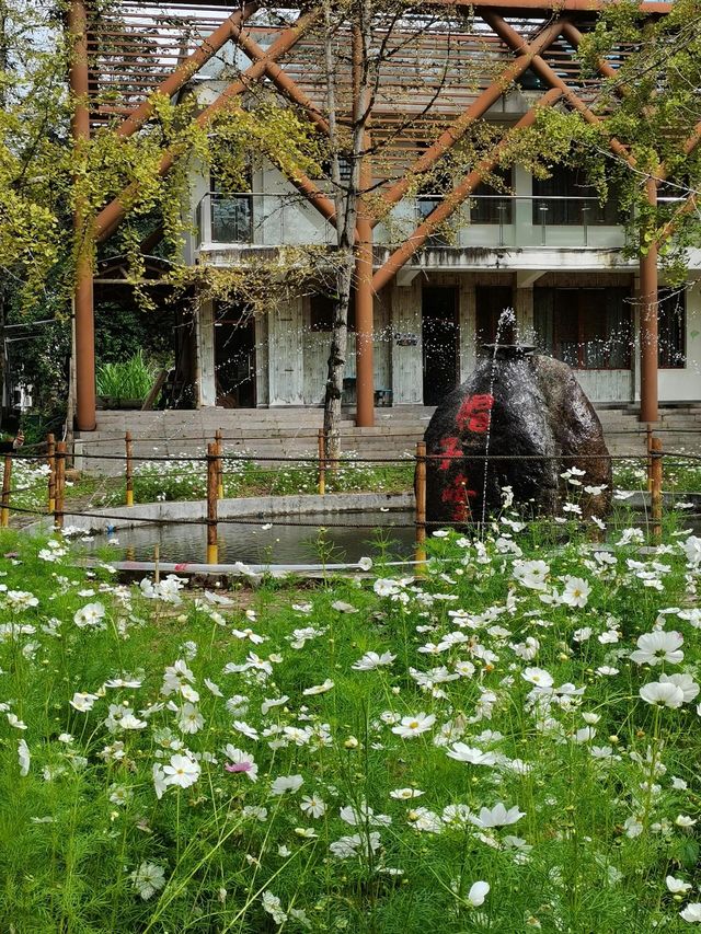 廣東韶關帽子峰旅遊區‖大自然的氧吧。