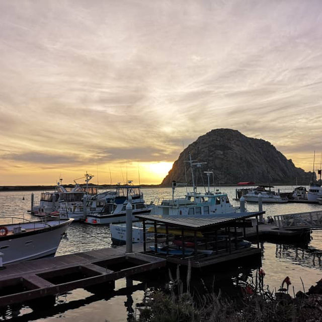 Discover the Splendid View of 17 miles drive at California