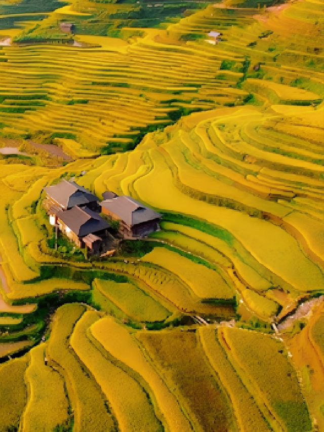 貴州加榜梯田：秋天的金色階梯奇觀|||加榜梯田的最佳旅行時間。