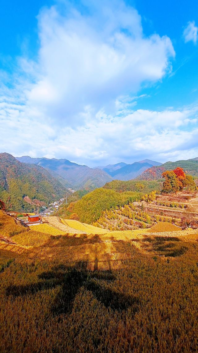 杭州小眾賞秋目的地。