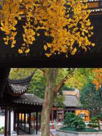 蘇州·治平寺|乾隆六下江南每次都在這裡小憩導航：