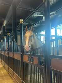 烏魯木齊‖汗血寶馬基地一定要去！