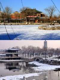 天津下雪了，喊你來賞雪