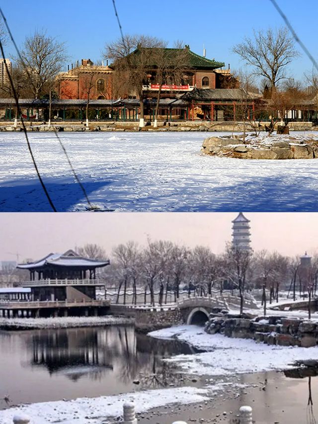 天津下雪了，喊你來賞雪