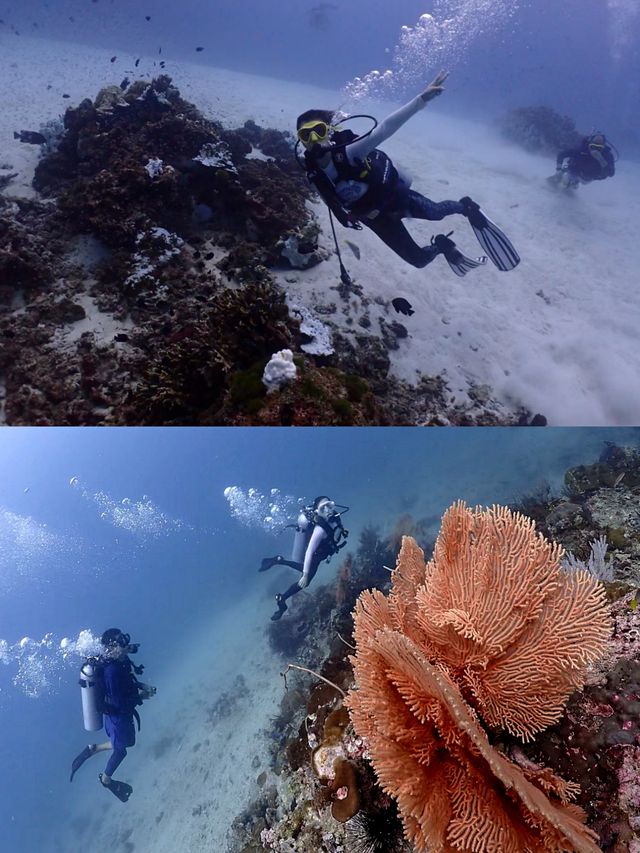 海南萬寧潛水‖旅遊打卡避坑攻略