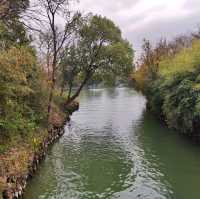 冬日不一樣的西溪湿地公園
