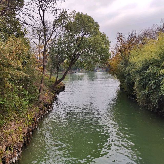冬日不一樣的西溪湿地公園