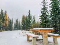 "冬季限定"的落基山冰雪旅遊季