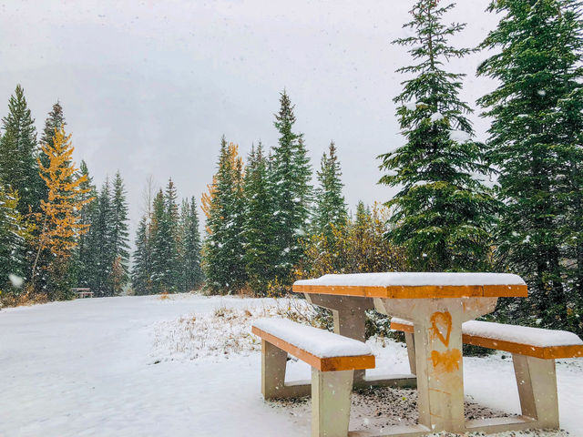 "冬季限定"的落基山冰雪旅遊季