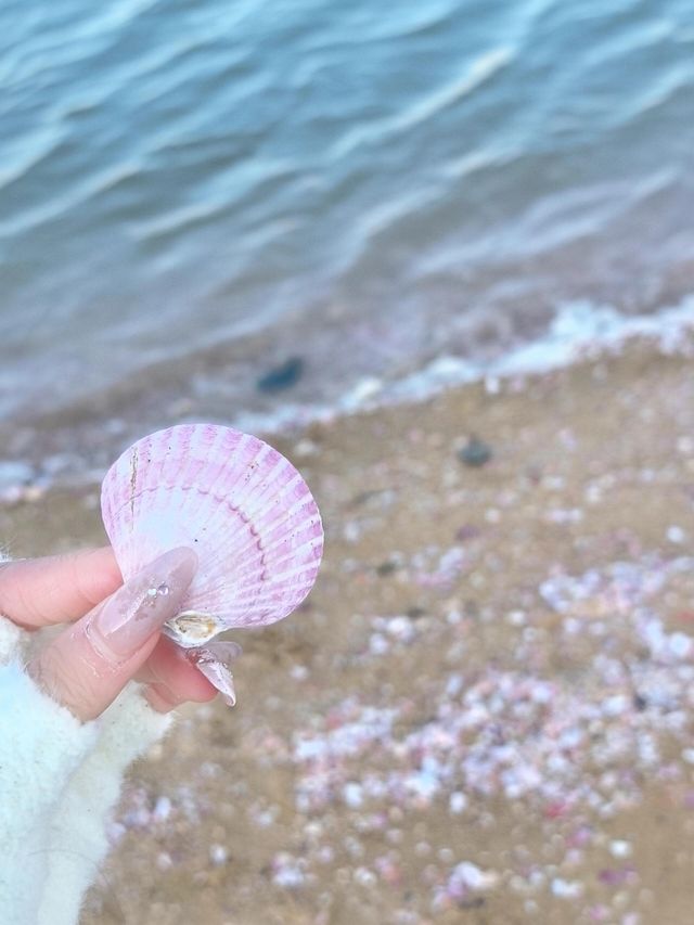 J人女大周末勇闖煙台｜舒適版攻略！