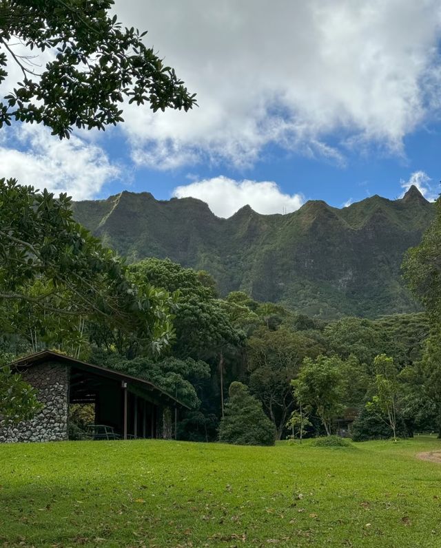 歐胡島植物園，被綠意治癒的一天