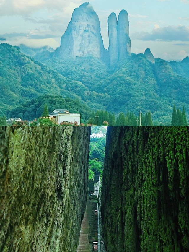 咬一口鴨頭，跟著鴨頭去旅行。