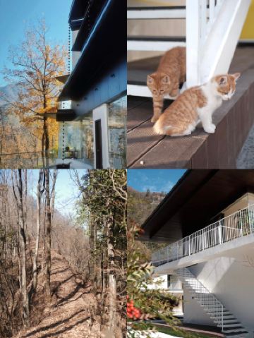 安康現在的小石山居簡直是冬季版小森林