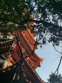 反向旅行之遵義，這座被低估的城市...