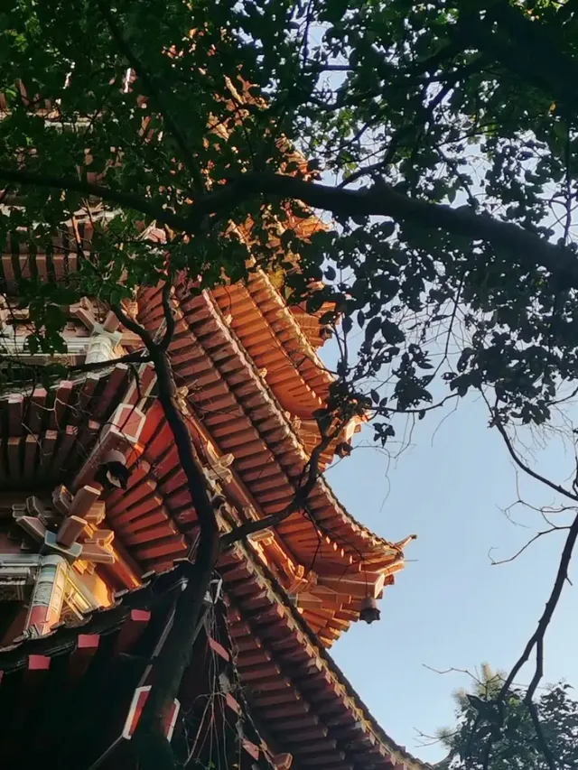 反向旅行之遵義，這座被低估的城市...