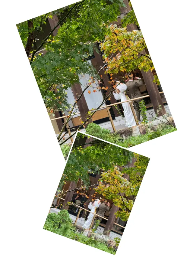 【名古屋必去！德川園，一步一景的古典美】