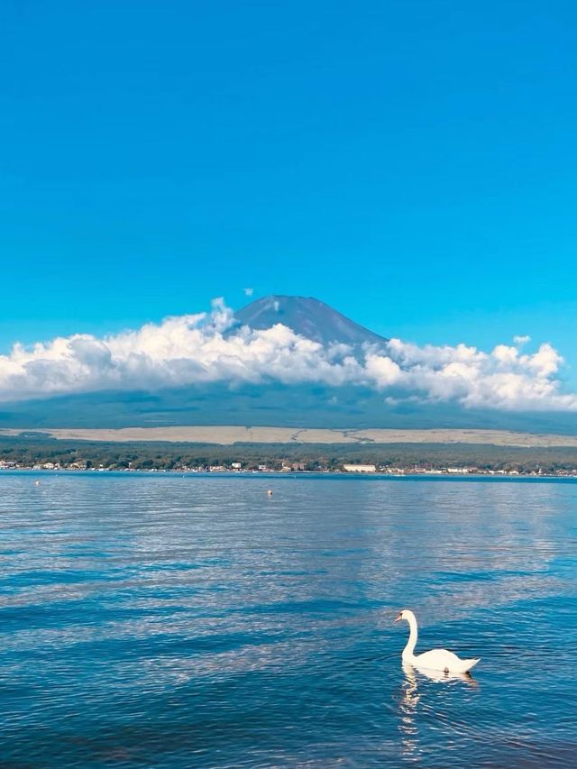 6日日本溫泉之旅 泡完不想走