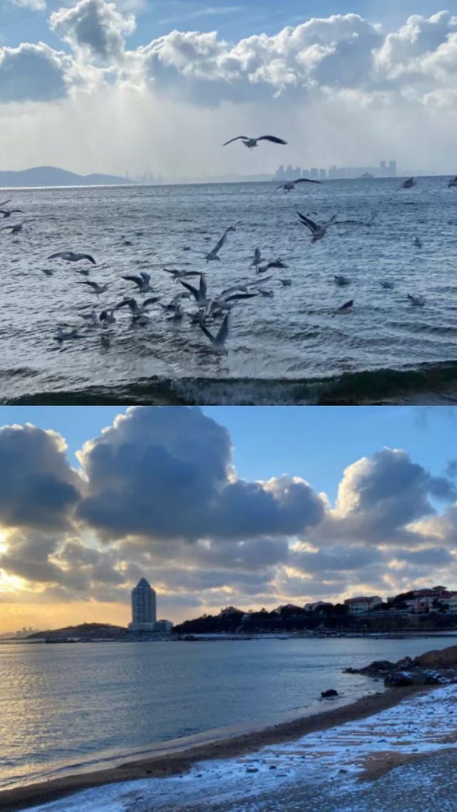 於青島吾舍，沉醉在愛的山海畫卷裏