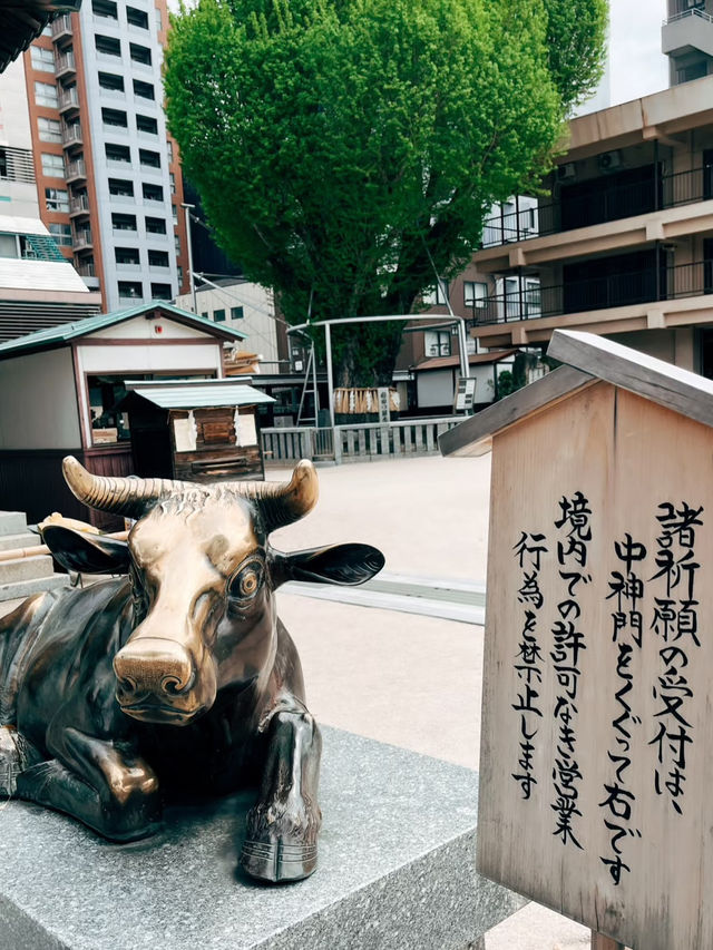 福岡櫛田神社景點攻略感受神秘的氛圍 🌲