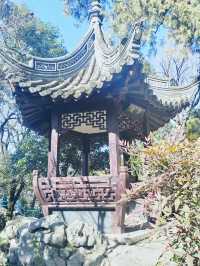上海這個公園也太好逛了-桂林公園記