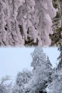 不用出國門，就在成都周邊就能找到這麼美的冰雪仙境！