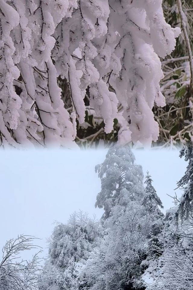 不用出國門，就在成都周邊就能找到這麼美的冰雪仙境！