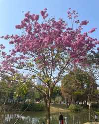 四海公園，邂逅冬日暖陽的浪漫