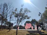 【泉州德化】九仙山冰雪樂園，玩雪不凍