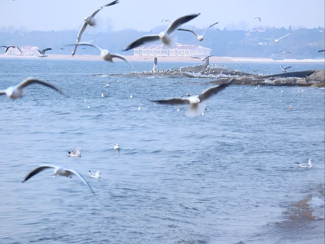 海邊日記︱秦皇島三天兩晚錯峰出行