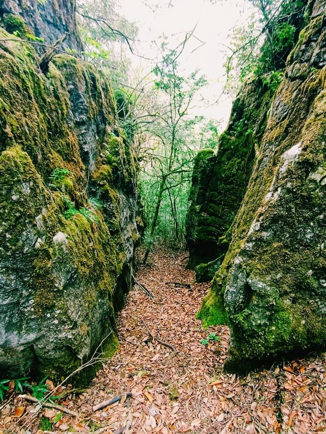 Jindaoxia Adventure: A Trilling Canyone World