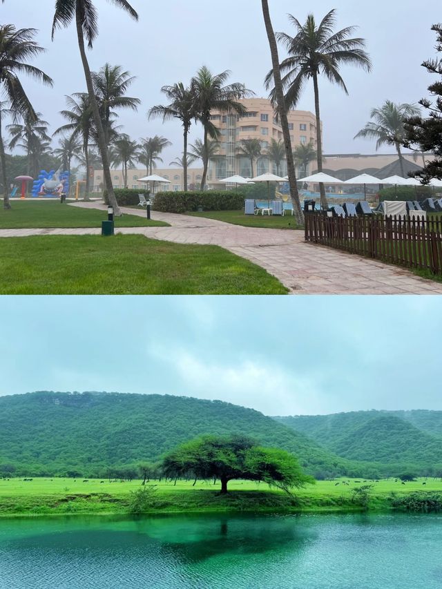 阿曼塞拉萊，遇見不一樣的中東風情
